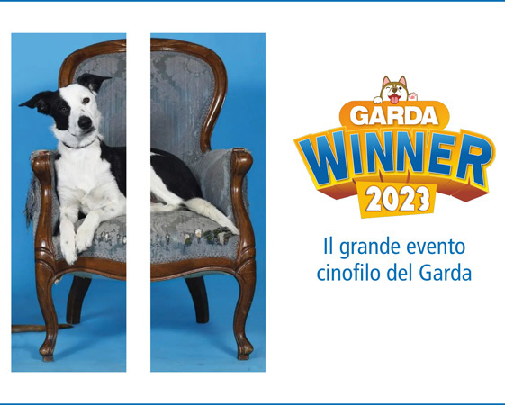 Esposizione Internazionale Canina Garda Winner 2024 a Montichiari